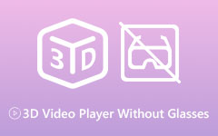3D Video Player without Glasses