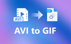AVI to GIF