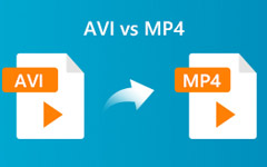 AVI VS MP4