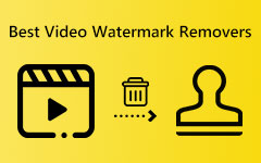 Best Video Watermark Removers