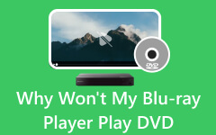 Blu-ray Player Wont Play DVD