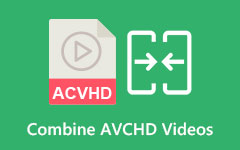 Combine AVCHD Video Files