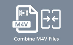 Combine M4V Files