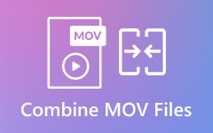 Combine MOV Files