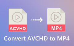 Convert AVCHD to MP4