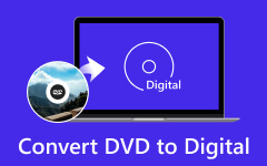 DVD to Digital