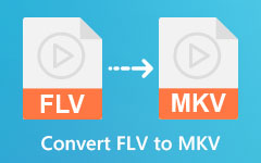 Convert FLV to MKV