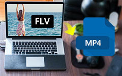 FLV to MP4 on Mac