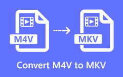 Convert M4V to MKV