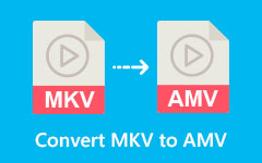 Convert MKV to AMV