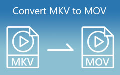 Convert MKV to MOV