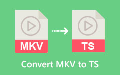 Convert MKV to TS