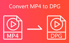 Convert MP4 to DPG