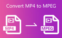 Convert MP4 To MPEG