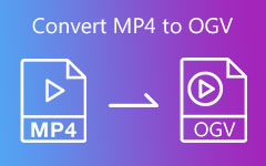Convert MP4 To OGV