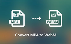 Convert MP4 Video to WebM