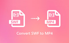Convert SWF to MP4