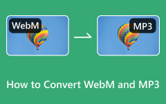 Convert WEBM and MP3