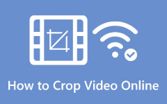 Crop Videos Online