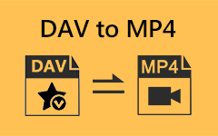 DAV To MP4