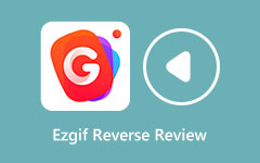 Ezgif Reverse Video Review