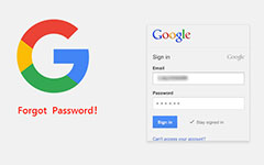 Forgot Google Password