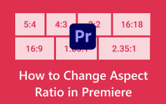 How to Change Aspect Ratio in Premiere