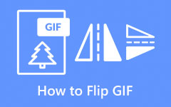 Flip How to Flip GIF