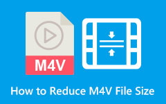 How to Reduce M4V File Size