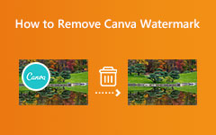 How to Remove Canva Watermarks