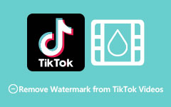 How to Remove TikTok Watermark