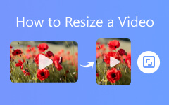 How To Resize Video