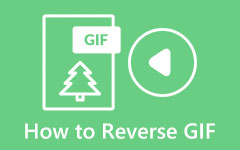 How to Reverse GIF