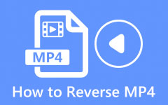 How to Reverse MP4