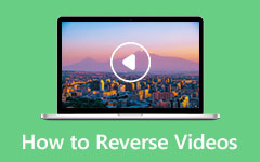 How to Reverse Video