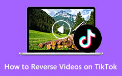 Video Reversers