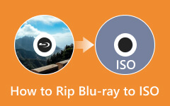 How to Rip Blu-ray to ISO