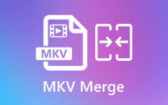 MKV Merge