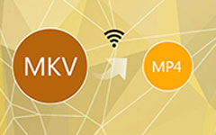 MKV to MP4 Online Converter