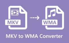 MKV to WMA Converter