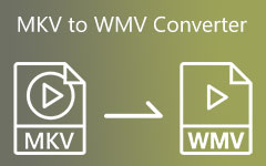 MKV to WMV Converter