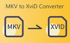 MKV to XVID Converter