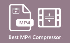 MP4 Compressors