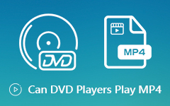 Can DVD Players Play MP4