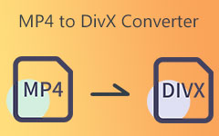 MP4 To DIVX Converter