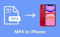MP4 to iPhone