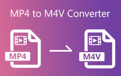 MP4 To M4V Converter