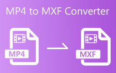MP4 To MXF Converter