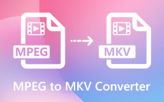 MPEG to MKV Converter