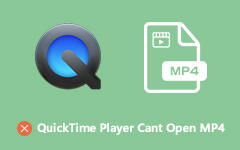 Quicktime players can't open MP4